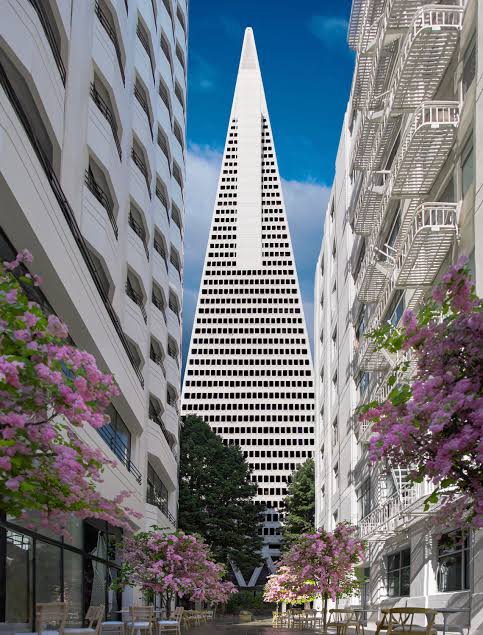 Foster + Partners' Completes Long-Awaited Renovation of Transamerica  Pyramid in San Fransisco, United States | ArchDaily