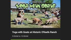 Yoga with Goats at Historic O’Keefe Ranch