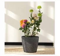 Vase de luxe en résine plastique de qualité, taille extérieure  personnalisée, moderne, auto-arrosant, pots de fleurs succulentes pour  jardin, conception d'usine