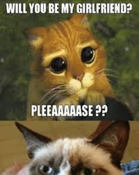 27 Hilarious Cat Memes Clean 25 Best Memes About Cat Memes Clean Funny Cat Memes Cat Mess To Clean Up Image 3624419 By Marine21 On Favim Com Cute Cat Me In 2020 Kuss