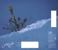 Image result for Kotschya sp.no.A