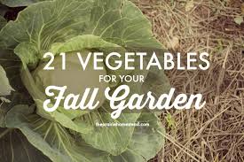 21 Vegetables For The Fall Garden