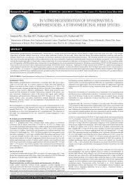 Image result for Sphaeranthus gomphrenoides