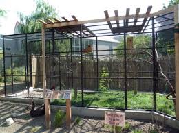 Outdoor Bird Aviary For Sale Macaw Outdoor Aviary Australia Bird Aviary Aviary For Sale Aviary