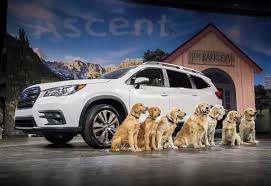 three row 2019 subaru ascent offers standard eyesight