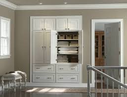 Railey 11.8 w x 72.6 h x 11.22 d linen cabinet. Linen Closet Ideas Houzz