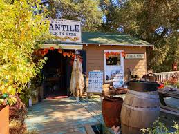 Plan to visit julian mining company, united states. Bill Storum Julian Apple Picking Ramble State