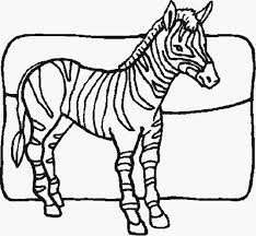 Zebra colouring pages to print. Zebra Coloring Pages To Print Coloring Home
