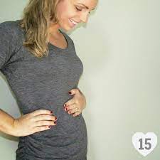 Pregnancy 15 Weeks