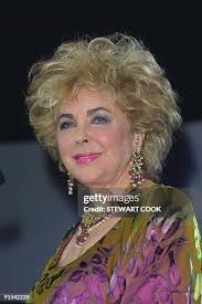 72 Passport 01 Fashion Show Stock Photos, High-Res Pictures, and Images