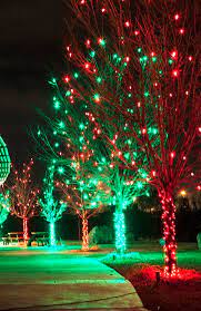 Alternating Red And Greens Trees Surrounding Denver Office Complex Christmas Lights Professional Christmas Lights Christmas Light Installation