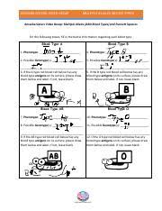 Amoeba sisters alleles and genes worksheet answer key : Amoeba Sisters Multiple Alleles Amoeba Sisters Video Recap Multiple Alleles Blood Types Amoeba Sisters Video Recap Multiple Alleles Abo Blood Course Hero