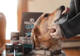 Pet wellness plans offer coverage for routine vet visits and related procedures that help to maintain an overall happy and healthy furry friend. Live Well The Official Blog Of Wellness Natural Pet Food Wellness Pet Food
