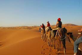 The core of moroccan and international business, rabat is the perfect city to participate in business, government, or human rights internships. Great Experience Review Of Camel Excursions Morocco Marrakech Morocco Tripadvisor