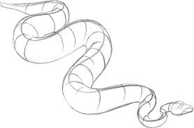 May 28, 2021 · to draw a snake, start by making a circle for the head. Snake Drawing Pets Book