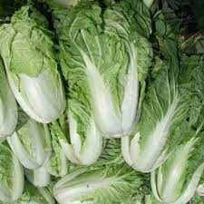 We did not find results for: Jual Sayur Pecay Di Lapak A K N Bukalapak