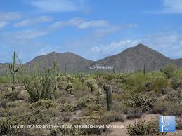 Hikes near phoenix are some of the most unique kind of trails. 5 Fantastic Hiking Areas In Phoenix Top Ten Travel Blog