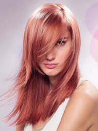 Vereinsmeister/innen 2016