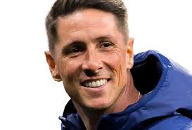 Fernando Torres, Speaker