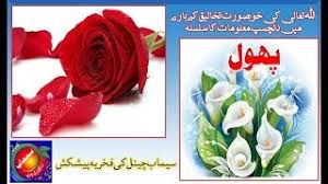 Check spelling or type a new query. Names Of 25 Flowers In Urdu English And Arabic Youtube