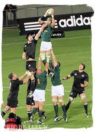 Our offices are for administrative purposes only, no visitors will be accepted without an appointment. Springbok Rugby In South Africa South Africa Rugby Team Springboks Rugby South Africa Springbok Rugby South Africa Rugby
