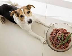 Lima beans are completely safe for a dog to eat. Can Dogs Eat Pork Things You Need To Know