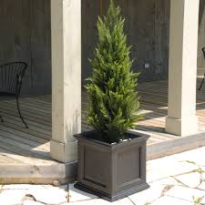 The wood stand is made of premium solid wood. Black Square Planters You Ll Love In 2021 Wayfair