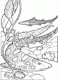 Coloring pages for kids shark coloring pages. Get This Tiger Shark Coloring Pages 85792