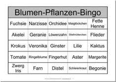 Muster sowoozoo 2021 day 2. 39 Bingo Ideen Spiele Fur Senioren Bingo Spiele Bingo