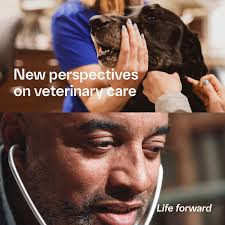 news #lifeforward #worldveterinaryday
