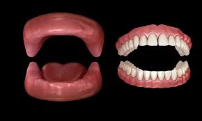 If you are hoping to get all of your teeth pulled for permanent dentures, you'll be looking at $100 to $200 per tooth. What Is Alveoloplasty Alveoloplasty Definition Omega Dental Houston Tx