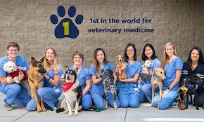 For your convenience, use our printable gift form. Uc Davis Veterinary Medicine On Twitter We Re Proud To Announce That Ucdavis Has Once Again Been Ranked 1 In The World For Veterinary Science Https T Co Jocctehemn Https T Co Bkyky1rwqw