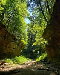 This part of turkey run contains narrow canyons flanked by high walls of mansfield sandstone to which ferns, hydrangeas, and native hemlock trees cling and shade out all but the noonday sun. Only In Indiana Shared A Photo On Instagram Beautiful Shot Of Rocky Hollows Falls Canyon Nature Preserve By Wildlifeamy Nature Preserve Nature Photo