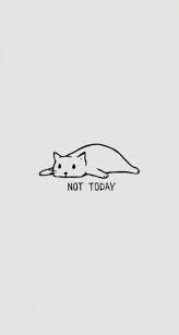 46 Ideas For Wallpaper Cat Funny Iphone Wallpapers Cute Cartoon Wallpapers Cat Wallpaper Funny Iphone Wallpaper
