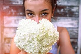 Free picture: white flowers, big flower petals, flower nectar, green leaves
