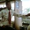 Boogie nights is the ultimate embodiment of p.t. Https Encrypted Tbn0 Gstatic Com Images Q Tbn And9gcswl7wpf9uqflivc5z4vuawzvkceea59fno5kew Mhiammofuzz Usqp Cau