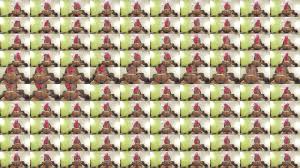 Maman africaine avec un gros butin chevauchant un petit mec - XNXX.COM