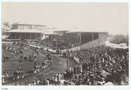 The blind date project is being presented at the adelaide festival centre's artspace until june 25 as part of the adelaide cabaret festival. Grand Parade Royal Adelaide Show Photograph State Library Of South Australia