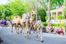 What Is The King William Parade Fair Fiesta The Pink Envelope Parades King William City Roller