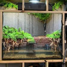 This Wall Paludarium Setup Is Cool Diy Aquarium Layout Design Hydroponics