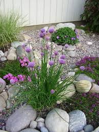 Chives Front With Geranium 39 Max Frei 39 In The Background Organize Beautifully Garden Ideas Diy Garten Vorgarten Vorgarten Ideen