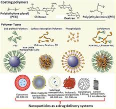 The as prepared nanopowder was used for further citation: Frontiers A Comprehensive Review Of Magnetic Nanomaterials Modern Day Theranostics Materials