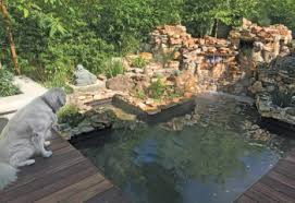 How many koi in a 3000 gallon pond. Best Pond Practices Filtration Design In A Desert Koi Pond Pond Trade Magazine