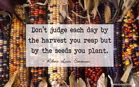 Image result for dont judge each day by the harvest