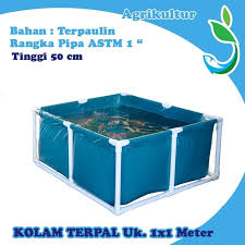 Luar Kota Kolam Ikan Terpaulin 100x100x50 Cm Pengganti Bak Fiber Pu85 Shopee Indonesia