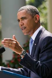 Pete King Says Obama Is 'Abdicating His Responsibility'