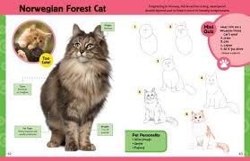 You might name your cat after a norse god or other mythological inspiration. How To Draw A Norwegian Forest Cat