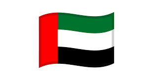 Dubai Flag