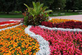 Flower Bed In The Park Free Stock Photo Colorful Flower Beds Flower Beds Flower Bed Designs