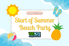 Summer Beach Party at Via Aquarium
